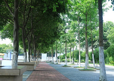黄冈工程学校2025年专业有那些?学校如何?